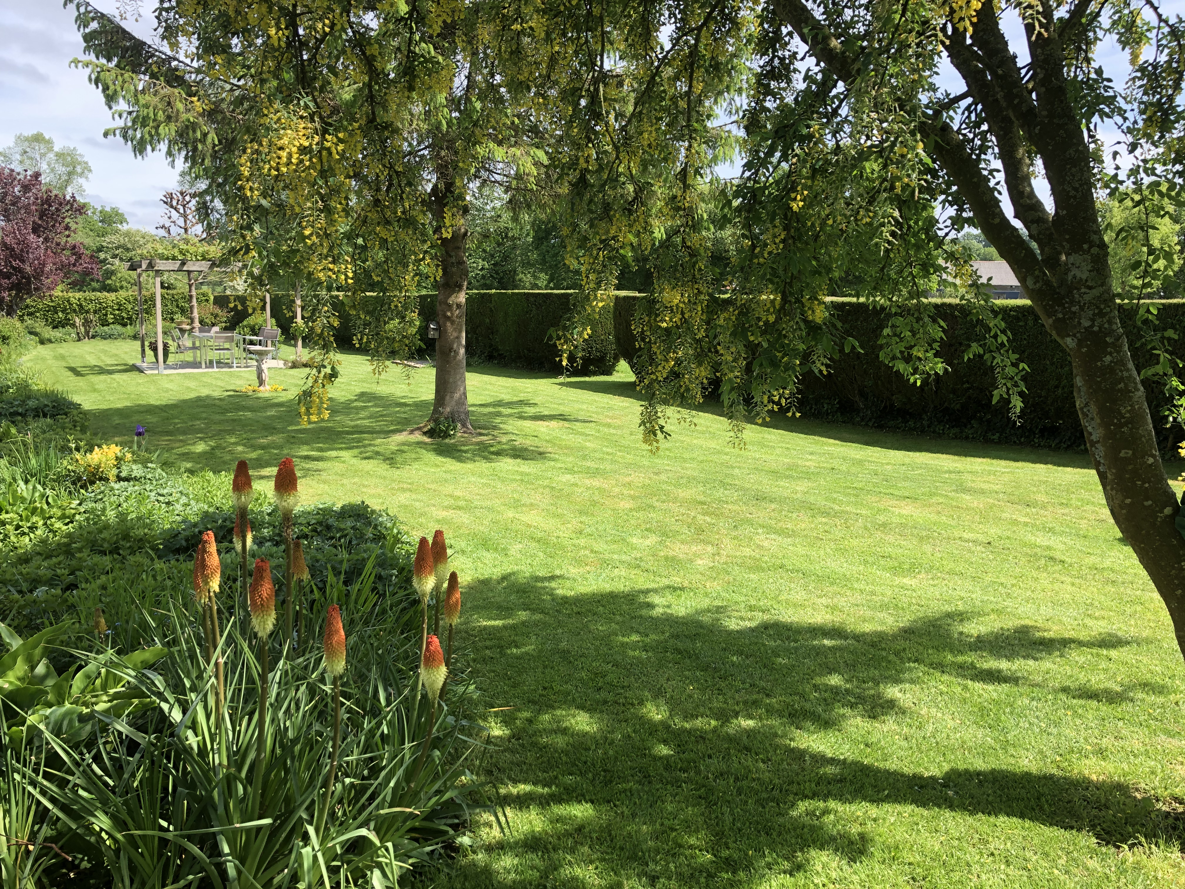 garden_(2)