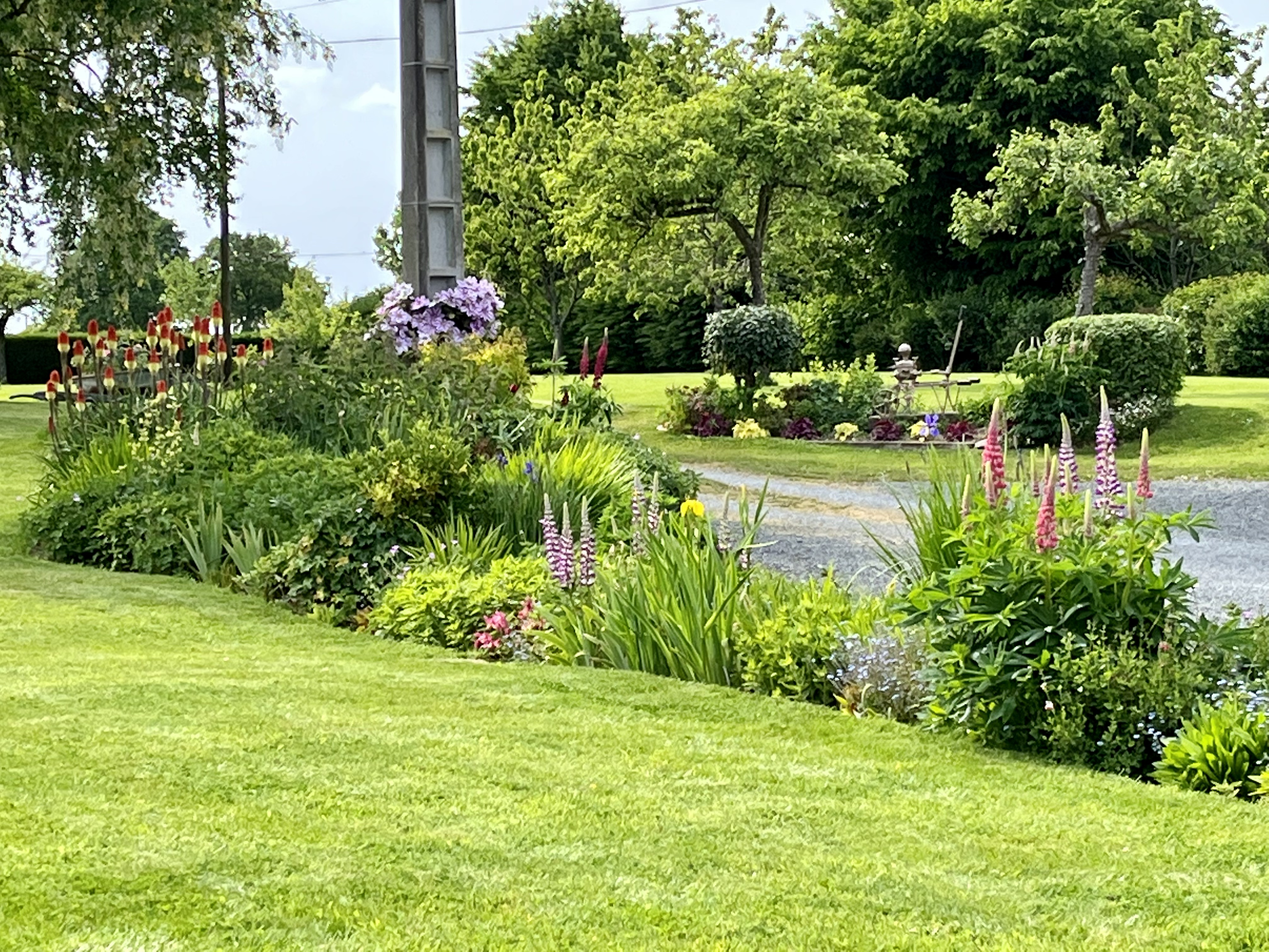 garden_(3)